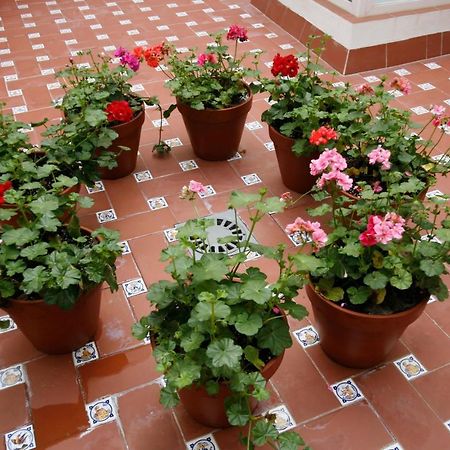 Apartamentos Las Cruces Севілья Екстер'єр фото