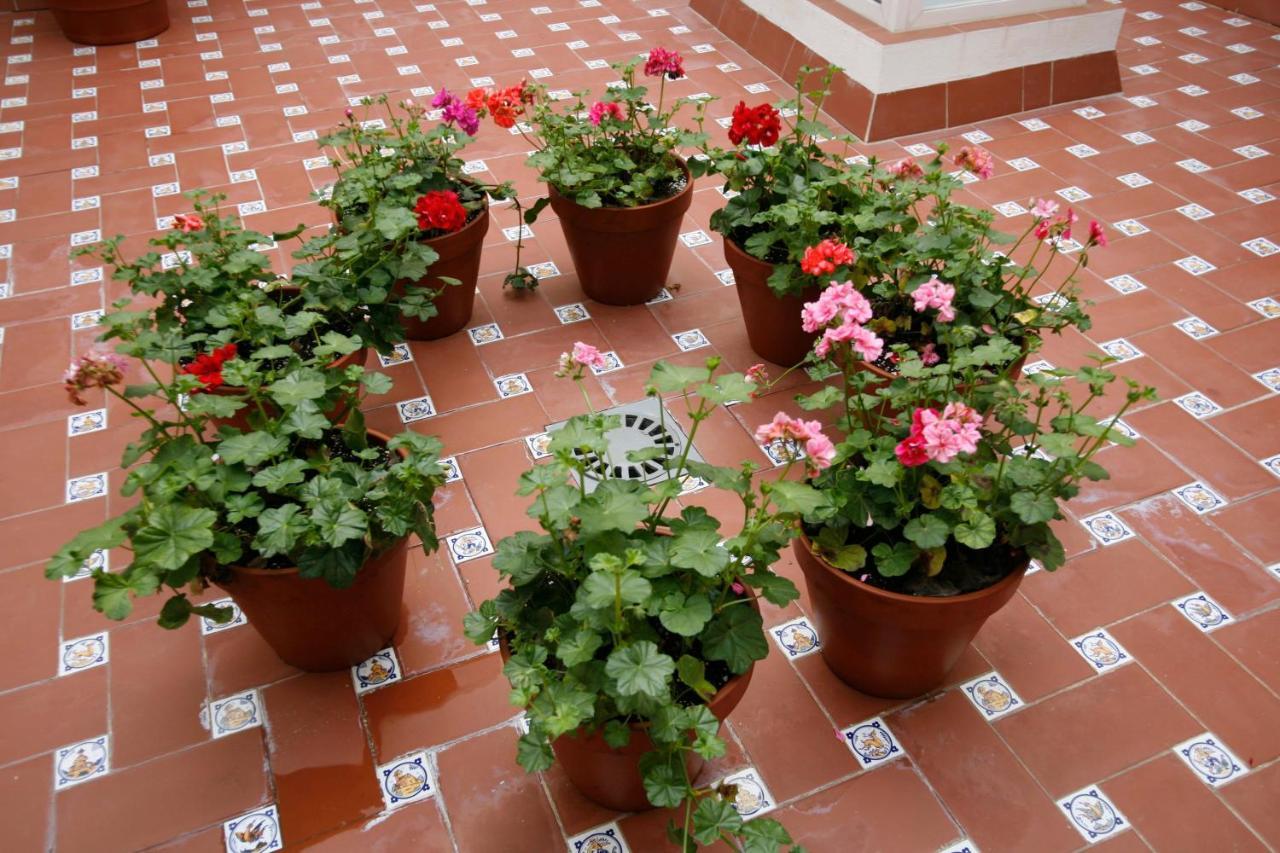Apartamentos Las Cruces Севілья Екстер'єр фото
